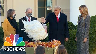 Watch Trump Hosts 2020 White House Turkey Pardon Introduces ‘Corn’ And ‘Cob’  NBC News NOW [upl. by Eciuqram]