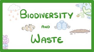 GCSE Biology  How Human Waste Reduces Biodiversity  Explained 89 [upl. by Etteniotna]