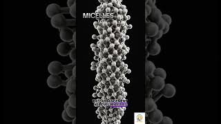 Micelles Definition By Prof Ashish Baldi Micelles drugdelivery [upl. by Farman]