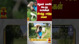 சிறுவன் கையில் கிடைத்த பொக்கிஷம்  வியந்து பார்த்த மக்கள் [upl. by Anse]