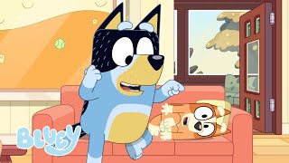 Full Bluey Minisodes  Part 1 💙  Bingo 3000 Three Pigs Hungry and Animals  Bluey [upl. by Nileek]