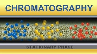 Ionisation des acides aminés  pKa  pHi isoélectrique [upl. by Adamo253]