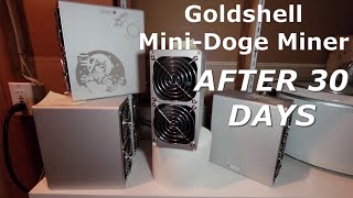 Mini Dogecoin  Litecoin Miner  After 30 Days [upl. by Manton]