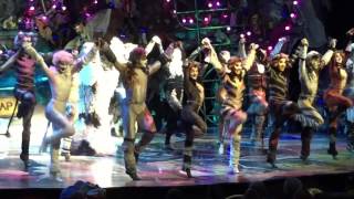 Mr Mistoffelees  CATS The Musical  Oasis of the Seas  2016  Matt Landel [upl. by Yrrad]