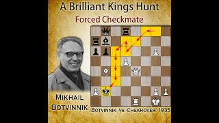 Brilliant Kings Hunt  Botvinnik vs Chekhover 1935 [upl. by Bopp]