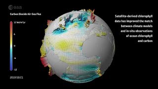 Carbon dioxide ocean–atmosphere exchange [upl. by Yroffej]