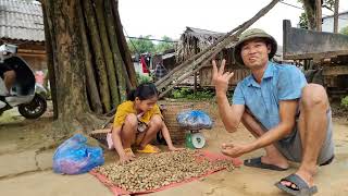 Orphan girl Harvesting peanuts to sell at market and Cooking Ly Thi Truc [upl. by Eilojne]