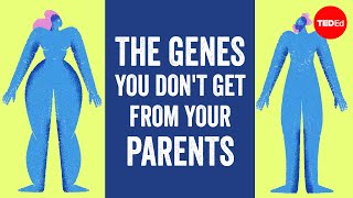 The genes you dont get from your parents but cant live without  Devin Shuman [upl. by Irahc]