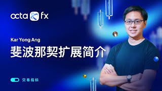 CHINESE 交易指标—斐波那契扩展简介  OctaFX [upl. by Haimrej249]