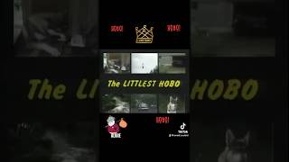 The Littlest Hobo theme tune canada canadiantv germanshepherd nostalgia shorts london [upl. by Romelle]