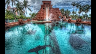 LEAP OF FAITH HD POV Atlantis Water Slide  Bahamas [upl. by Eelorac]