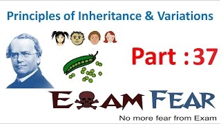 Biology Inheritance Principle part 37 Mutations class 12 XII [upl. by Abbotson]