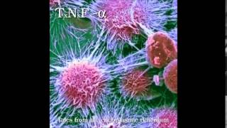 Tumor Necrosis Factoralpha quotIntrinsic induction of the apoptotic cell death pathwayquot [upl. by Minnnie807]