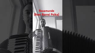 Rosamunde Beer Barrel Polka polka полка accordion acordeon shorts полка accordions [upl. by Dante]