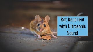 20KHz Ultrasonic Rat Repellent 10 Hours [upl. by Ahern395]