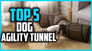 ✅Top 5 Best Dog Agility Tunnel in 2024 [upl. by Ecinaj]