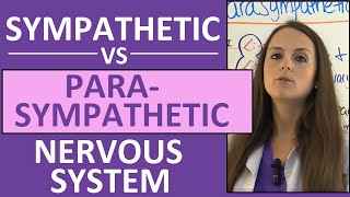 Sympathetic and Parasympathetic Nervous System Autonomic Anatomy Pharmacology Nursing [upl. by Juna]