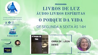 ÁUDIO LIVROS ESPÍRITAS –LIVRO O PORQUE DA VIDA CARTAS 56 [upl. by Jacinda]