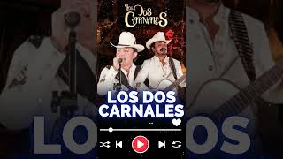 El Envidioso  Los Dos Carnales Grandes Exitos 2024 losdoscarnales shorts [upl. by Cortney]