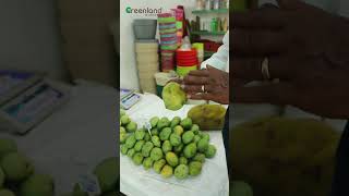 🛒🥭Organic Salem Bangalora amp Banganapalli Mangoes  Naturally Preserved amp On Sale Now🥭🍯🥥 [upl. by Weatherby]