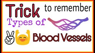 Trick to remember Types of Blood Vessels I by BioTrickoLogy [upl. by Tibold520]