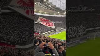 Choreo der Nordwestkurve zu 125 Jahre Eintracht Frankfurt 🦅👏 Bundesliga SGETSG sge [upl. by Aniles]