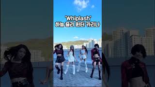 Whiplash 하늘 쥴리 윈터 카리나 [upl. by Irv]