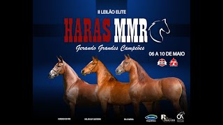 II Leilão Haras MMR [upl. by Arodal632]