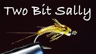 Two Bit Sally Fly Tying Instructions by Charlie Craven [upl. by Rocker475]