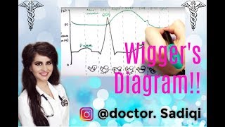 Wiggers Diagram EXPLAINED WITHIN 3 MINUTES [upl. by Dinan375]