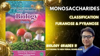 Monosaccharides  Aldo amp Keto Sugars  Furanose amp Pyranose Sugars  Grade 11 Biology  Federal KPK [upl. by Noryd]