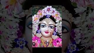 Jai sree radhebhaktiradhe radhe [upl. by Olatha]