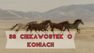 Ciekawostki o KONIACH  38 faktów których prawdopodobnie NIE WIESZ 🐎 [upl. by Gabbi]