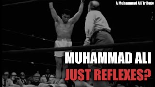 Muhammad Ali  Just Reflexes  Film Study Tribute [upl. by Nnairac]