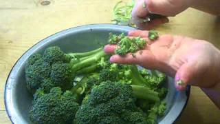 How to Make THE BEST Broccoli Salad [upl. by Tlevesoor]