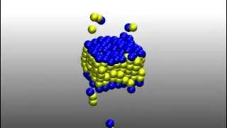 Self Assembly of Lipid Bilayer Membrane [upl. by Bowen674]