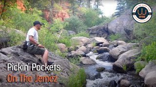 Pickin Pockets On The Jemez [upl. by Dita]