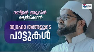 റബീഉൽ അവ്വലിൽ കേട്ടിരിക്കാൻ ത്വാഹാ തങ്ങളുടെ പാട്ടുകൾ  Hits Of Thwaha Thangal Pookkottur [upl. by Enaillil572]