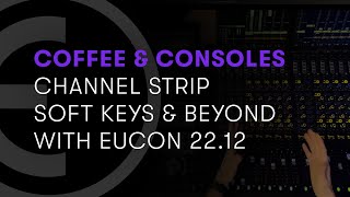 Channel Strip Soft Keys and Beyond with EUCON 202212 [upl. by Liahkim]