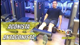 7 Exercícios Treino de Bíceps e Tríceps Completo  Utilizando apenas uma barra [upl. by Stronski]