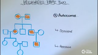 Pedigrees Part Two [upl. by Misa]