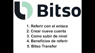 Referir Crear Subir de Nivel y Transferir en Bitso [upl. by Kylstra945]