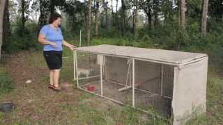 Chicken Coop Ideas A tour of Beckys chicken coop designs [upl. by Rora]