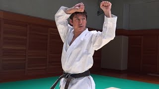 【Karate】How to use Heian Nidan in a Fight Tatsuya Naka JKA [upl. by Ayifas]