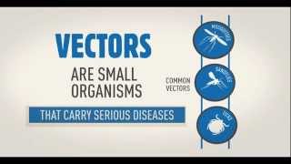 WHO Vector borne disease animation WHD2014 [upl. by Rahab564]