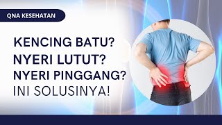 Kencing Batu Lutut amp Pinggang Terasa Sakit Ini Solusinya  QNA KESEHATAN [upl. by Ainattirb78]