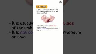 Gastroschisis amp Omphalocele Abdominal wall defectsabdominalwallfetususmle abnormalmbbsstep1 [upl. by Eninahpets656]