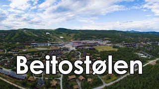 Beitostølen Summer 2020  Destination [upl. by Jowett]