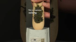 What is oolong tea oolongtea [upl. by Tuhn489]