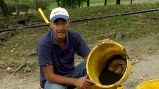 Italian Fishing TV  Tubertini  Roubasienne nel lago di mezzo [upl. by Maitund]